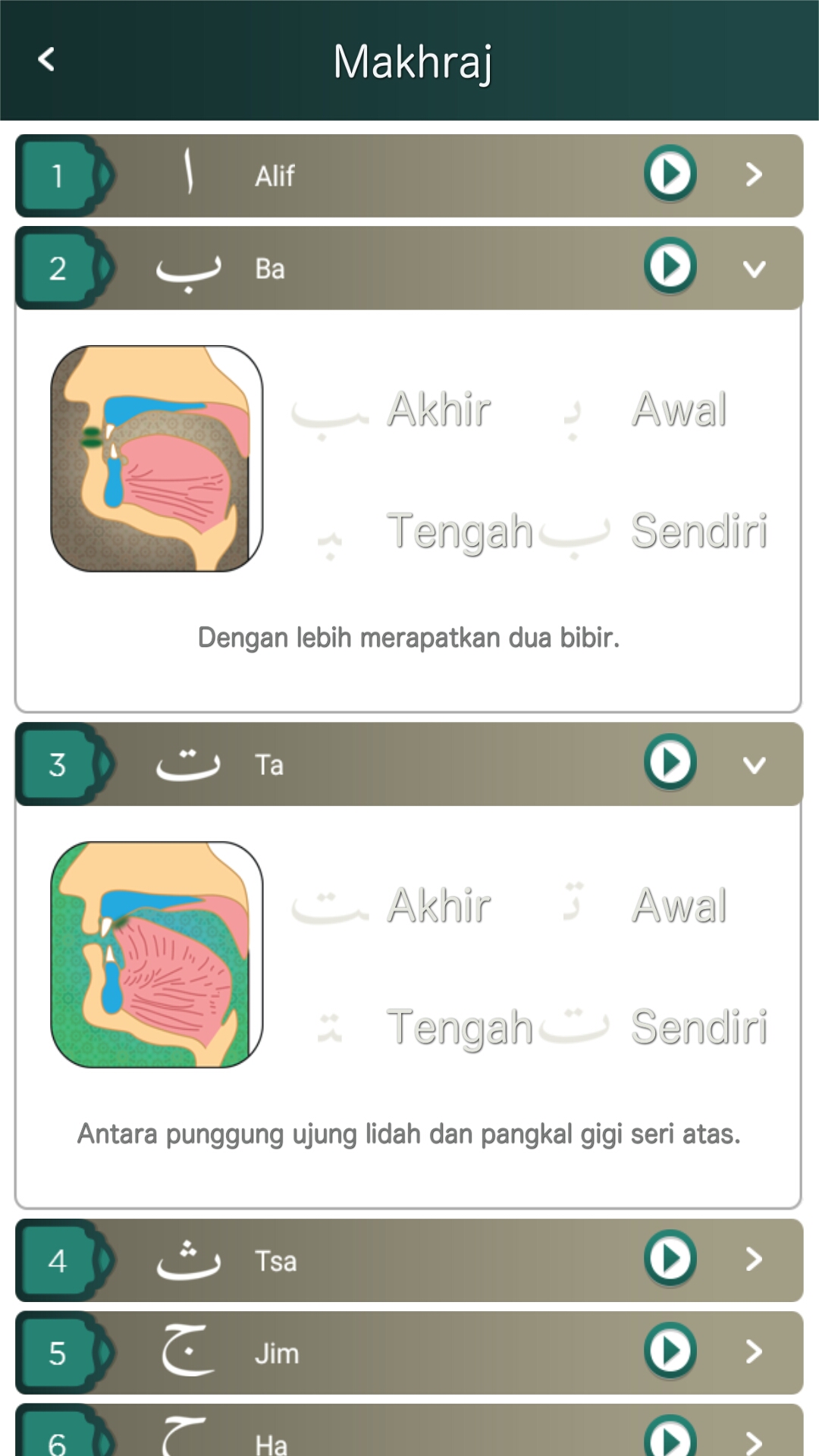 Theme – Hijau Toska Putih