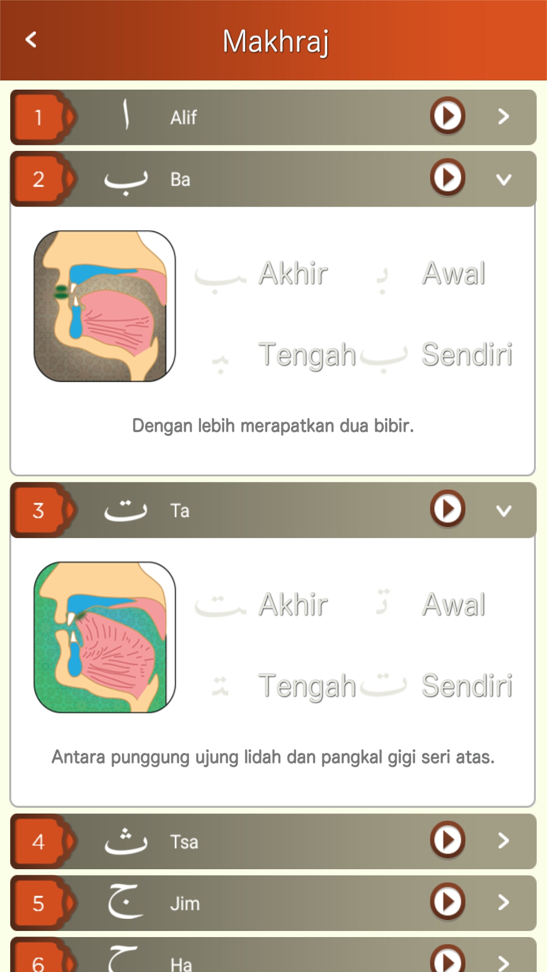 Theme Orange Peach